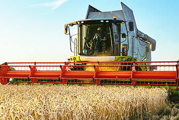 Agriculture Thumb Image