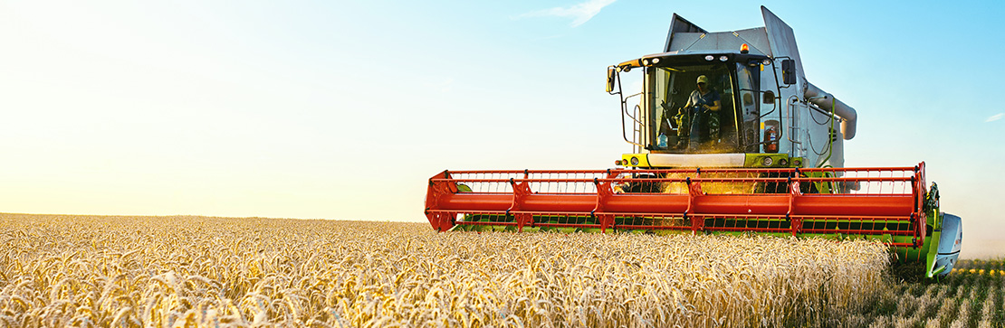 Agrichemicals and fertilisers legal advisory India