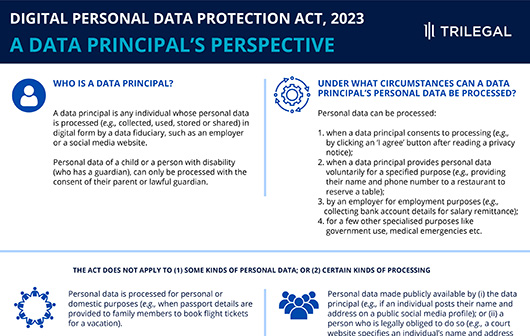 Data principal perspective thumbnail
