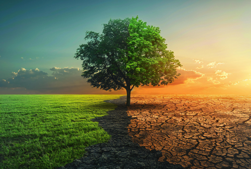 Climate legal risk for Indian businesses – Kosturi Ghosh, Trilegal - Thumb